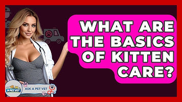 What Are The Basics Of Kitten Care? - Ask A Pet Vet