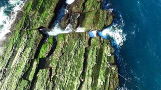 貢寮  馬崗豬哥坪 Adjutant Flat, 黑毛礁 Blackedge Nibbler Reef, Magang