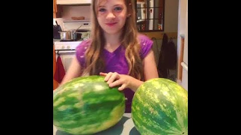 The Hollow Sound Test for Watermelons