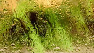 The Undulating Rhythm of Falling Droplets: Harmony Found in Chaos