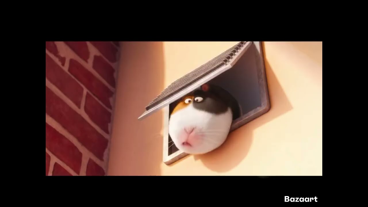The secret life of pets but it’s just Norman 