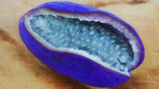 THE MOST UNUSUAL FRUITS You've Never Heard Of by THE MAGNUM 744 views 8 months ago 10 minutes, 37 seconds