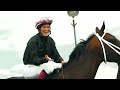 Live Thoroughbred Racing - Assiniboia Downs (ASD) • August 19, 2026