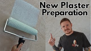 How i Prepare and Paint New Plaster - Mist Coating Guide by The DIY Guy 98,671 views 9 months ago 7 minutes, 43 seconds