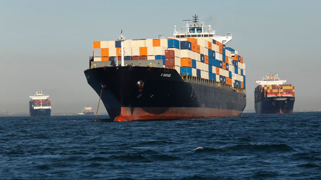 International Marine surveyor