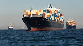 International Marine surveyor