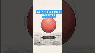 Why Does a Ball Bounce 🏀 | Science Behind Bouncing Balls | Physics Explained #Shorts#viral