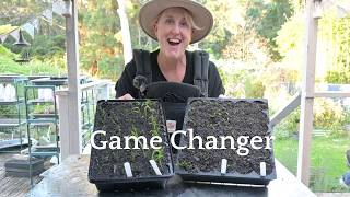 Trying something new... and it's a game changer for seed starting