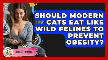 Should Modern Cats Eat Like Wild Felines To Prevent Obesity? - Happy Cat Handbook
