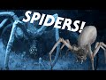 The Spider Creatures of Star Wars