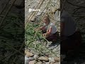 Building a Secret Nature Shelter On A Rocky Beach! #travel #shelter #survival #survivalskills