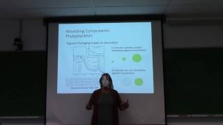 Lecture 3: Absorption physics and absorbing materials (Part 2)