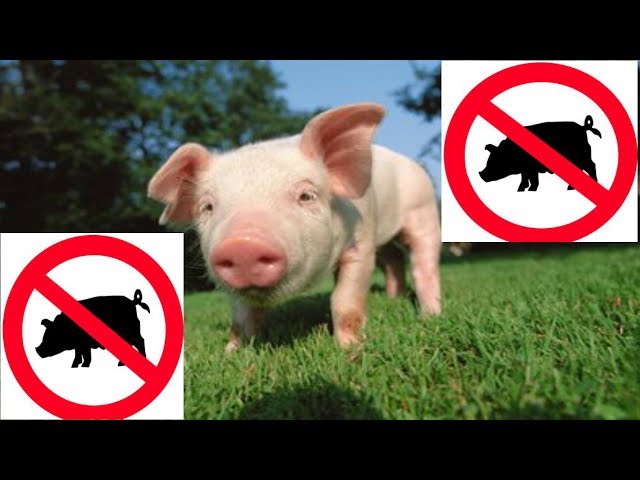 Men bir yuk mashinasi haydovchisining ogzini sorib oldim