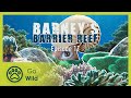 A to B - Barneys Barrier Reef S01E11