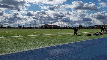 Testing - 10m Sprint Example