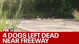 Four dogs KILLED, left near freeway in Spring; resident calls discovery SICKENING