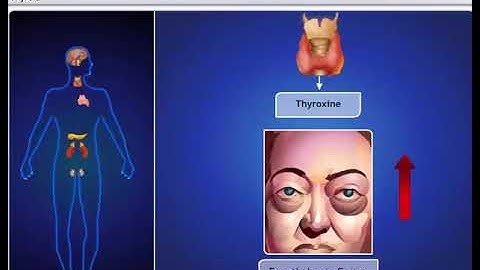 CBSE Class 10 Science ¦¦ Control and Coordination  2 ¦¦ Hormones in Animals ¦¦ NCERT Animation