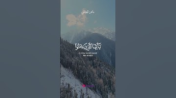 لحظات من الخشوع مع تلاوات ماهر المعيقلي الرائعة