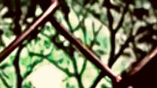 WUTIWANT - saraunh0ly 1 HOUR