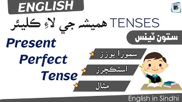 Present Perfect Tense explained in Sindhi | English in Sindhi