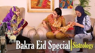 Bakra Eid Special | Sistrology | ft.iqra kanwal | hira | fatima screenshot 3