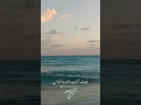 ويجز أميرة 2022 حالة واتس