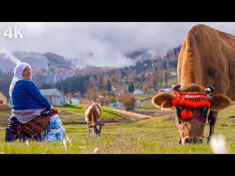 Lütfiye Ninenin Yayla Hayatı-Zirvelerde Kadın Olmak| Belgesel-4K