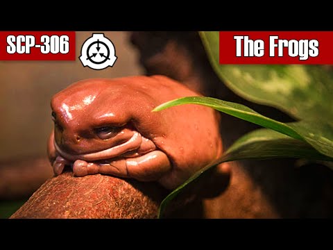 SCP  Readings: SCP-306 The Frogs | object class keter | Biohazard / Contagion scp