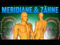 Meridiane Und Zähne Die Unsichtbare Verbindung Zwischen Zähnen Und Organen Meridiane Und Zähne Die Unsichtbare Verbindung Zwischen Zähnen Und Organen