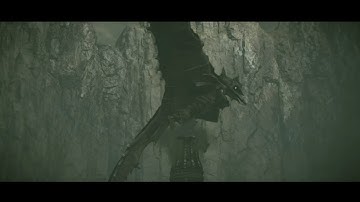 Shadow Of The Colossus (PS4) - Avion HTA - 1:17:91