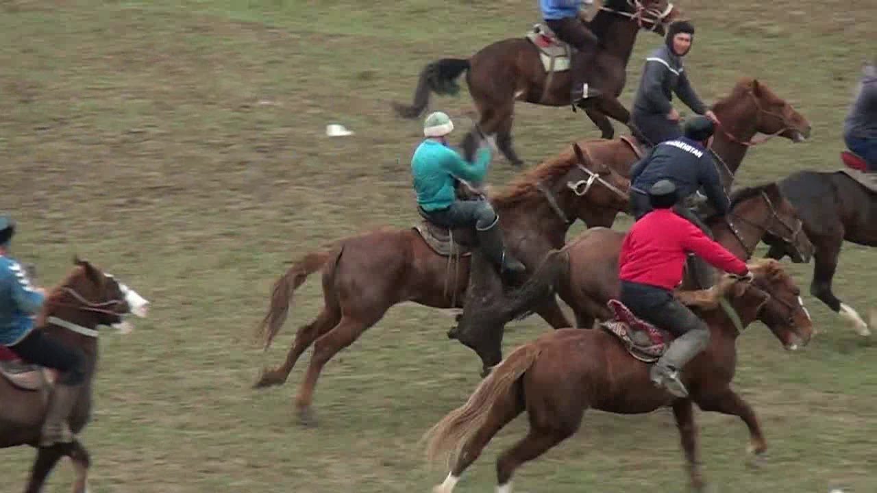 Көкпар Шардара 23.03.2019 ж. Зәкір ағамыздың көкпар тойы (2-бөлім)
