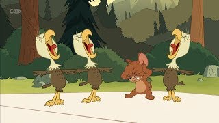 The Tom And Jerry Show - Eagle Eye Jerry by Gary8687 9,592,152 views 5 years ago 2 minutes, 59 seconds
