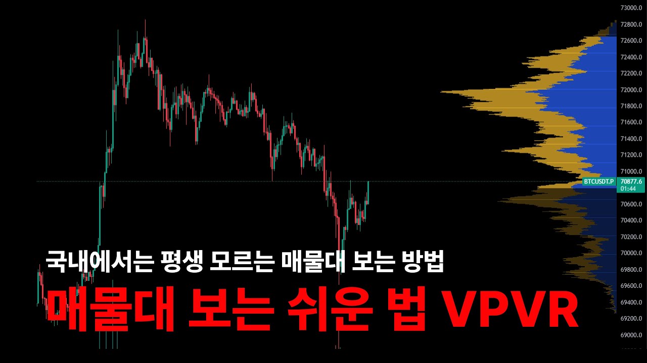 8강 : 매물대 보는 법 VPVR 국내에서는 평생 모르는 해외 트레이더의 매매법