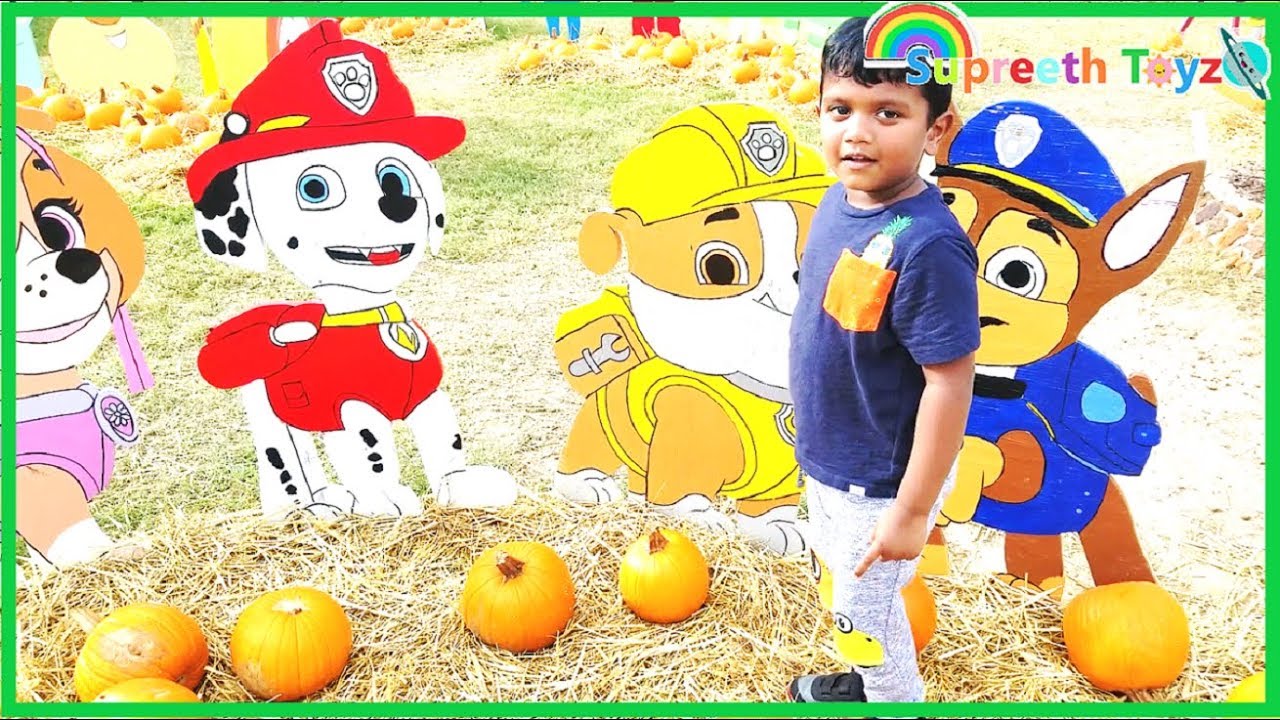 Pumpkin Patch with Lifesize Pawpatrol,Minion,Frozen,Batman exhibit for kids