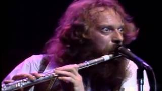 Video thumbnail of "Jethro Tull - No Lullaby Flute solo (live at"