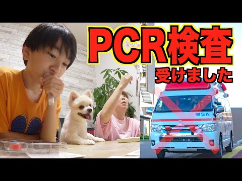 急遽病院へ？？PCR検査受けました！結果は・・