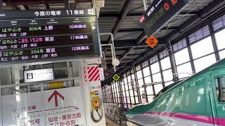 上野止まり。東北新幹線臨時列車　盛岡駅