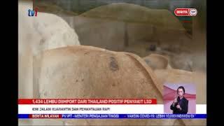 2 JUN 2021-BERITA WILAYAH-1,434 LEMBU DIIMPORT DARI THAILAND POSITIF PENYAKIT LSD