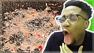 Try NOT to puke CHALLENGE!!