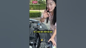 Vị trí các cảm biến phổ biến trong ô tô, có thể bạn chưa biết