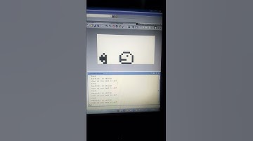 Matlab de Hakken! Fan made Tamagotchi!