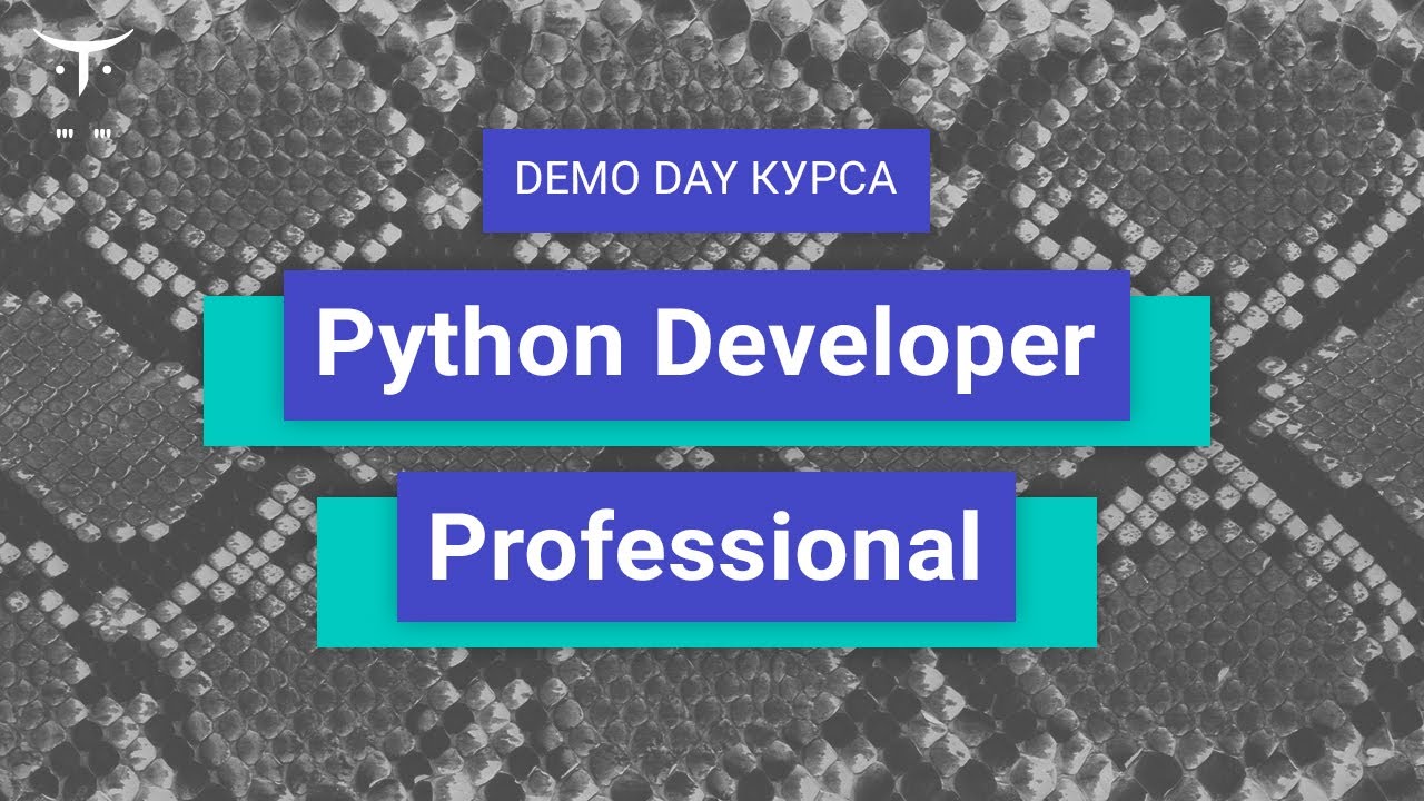 Demo Day курса «Python Developer Professional» - YouTube