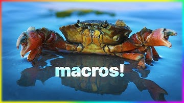 Why do we need macros in Rust?