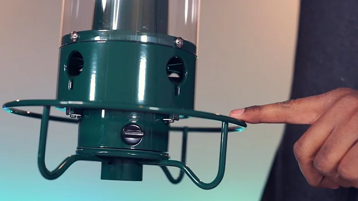 Droll Yankees Yankee Flipper Squirrel-Proof Bird Feeder, Spinning Perch, 4 Feeding Ports