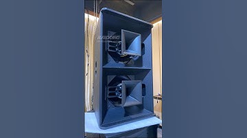 Dual 12" coaxial full-range speakers.#proaudio #speaker #audio #raidongaudio  #coaxialspeaker