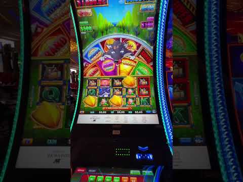 Intro Casino Emotion 10/Sept/2016