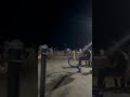 Pondy Rock Beach Nightlife Vibe 🌊 | Bhojpuri Beat Meets Coastal Chill
