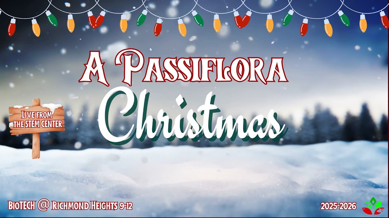 A Passiflora Christmas - Last Christmas (Cover) - Passiflora