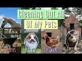 Cleaning Out All Of My Pets