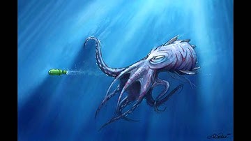 INSOMMA, GENNEN LIL KULHADD